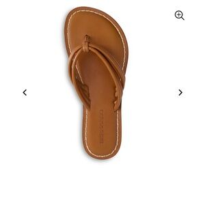 Brown Bernardo Sandals